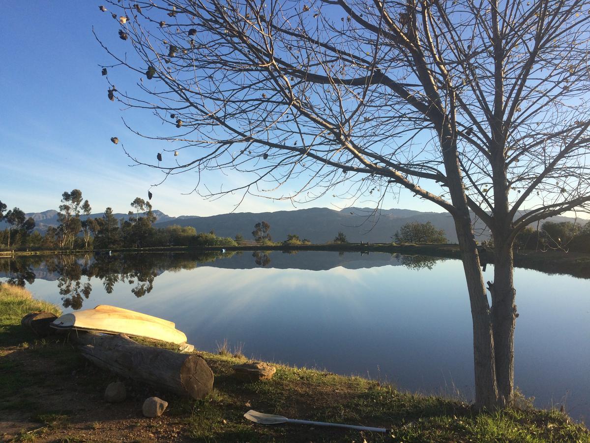 Fraaigelegen Farm - Home Of Adhara Evoo تولباغ المظهر الخارجي الصورة